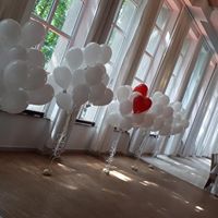 Balony ledowe na imprezy i eventy Elbląg